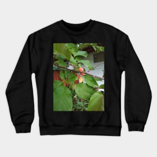 Young Crab Apple Crewneck Sweatshirt